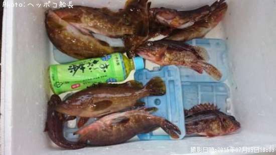 �����ϥ�