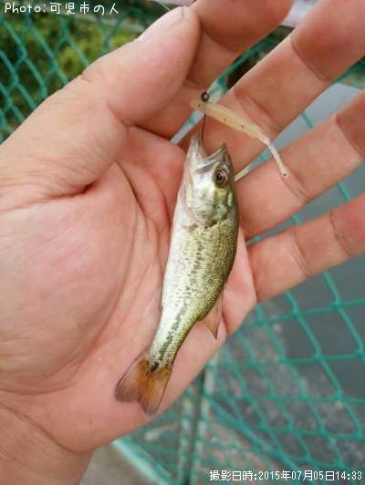 �֥�å��Х�