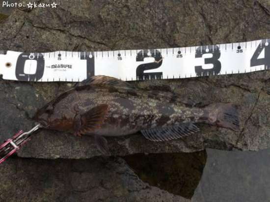 �����ʥ�