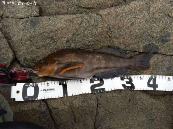 �����ʥ�