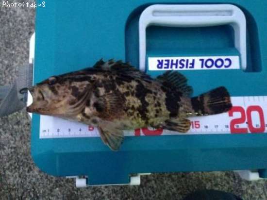 �����Υ���Х�