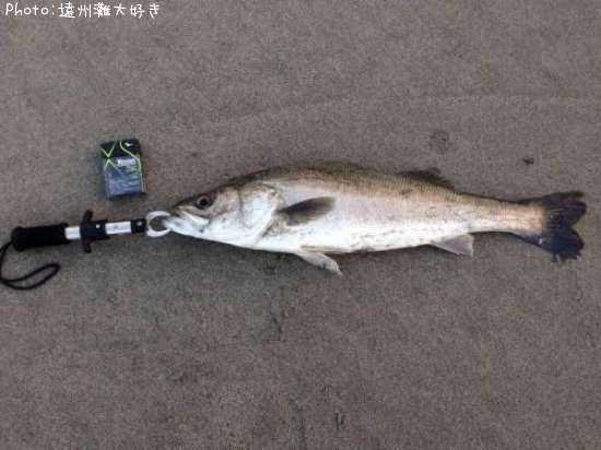 �����Х�