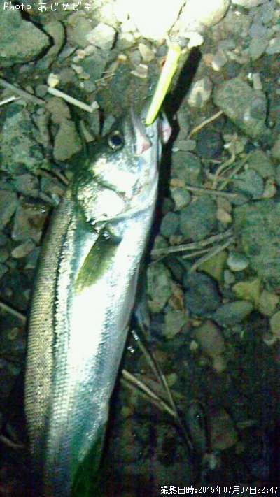 �����Х�