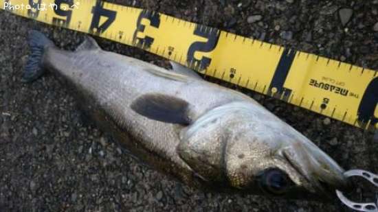 �����Х�