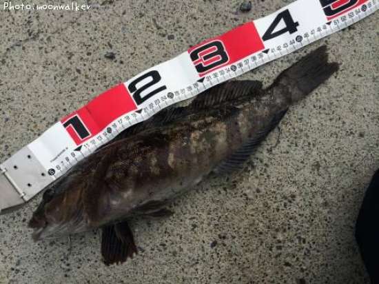 �����ʥ�