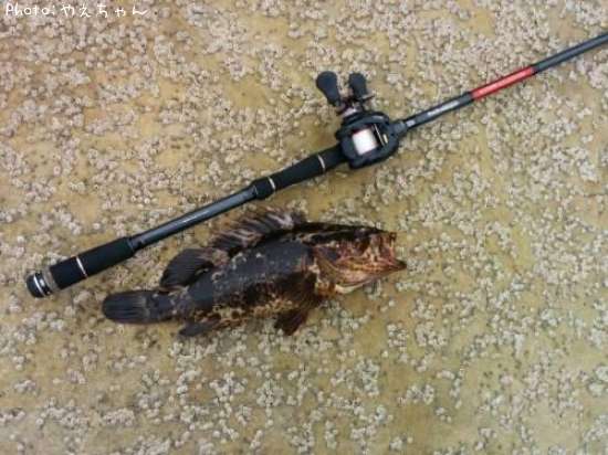 �٥å�������