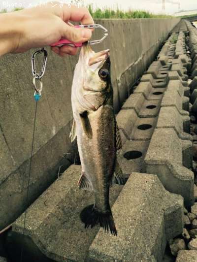 �����Х�