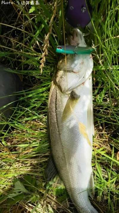 �����Х�