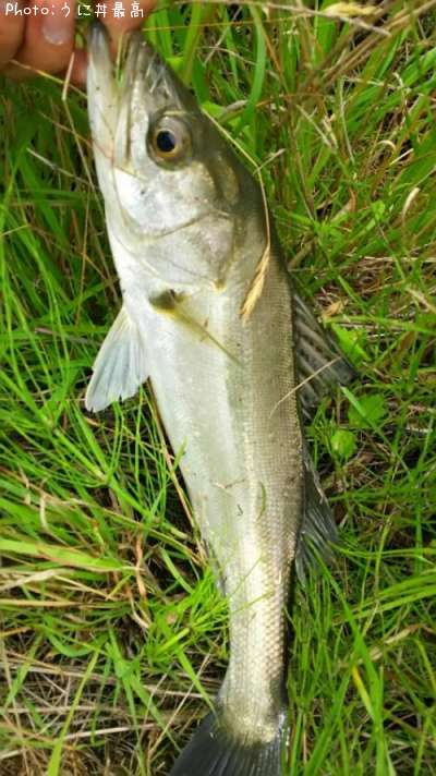 �����Х�