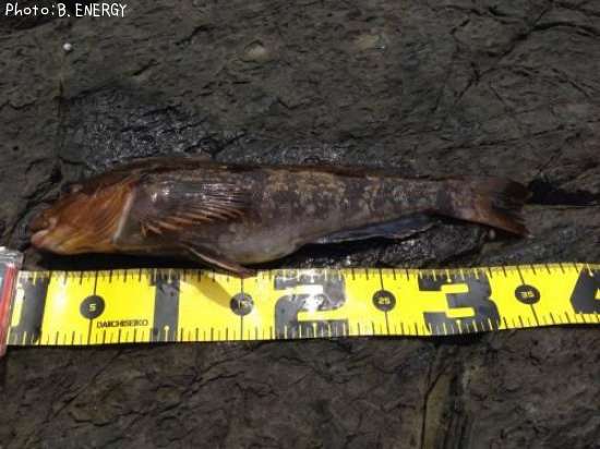 �����ʥ�