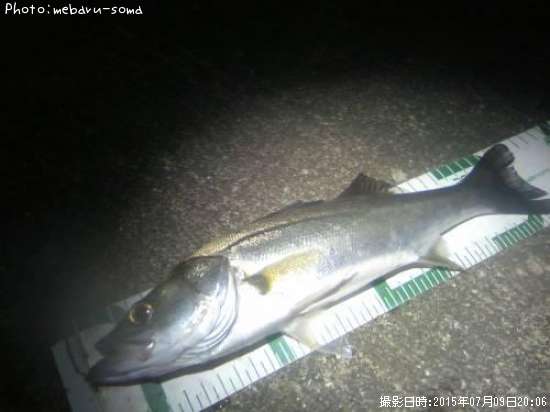 �����Х�