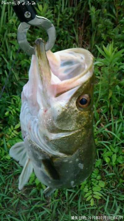 �����Х�