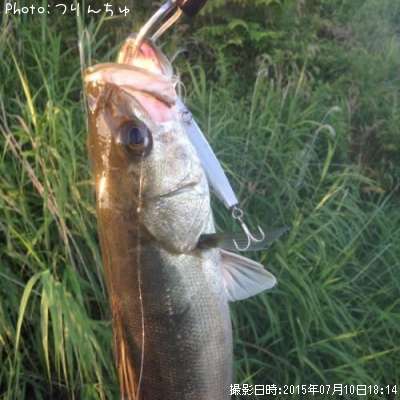 �����Х�