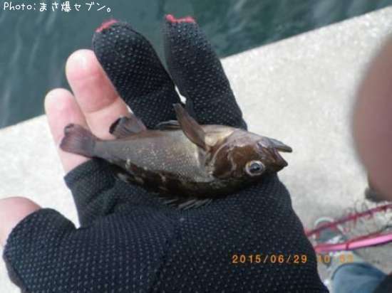 ������Х�