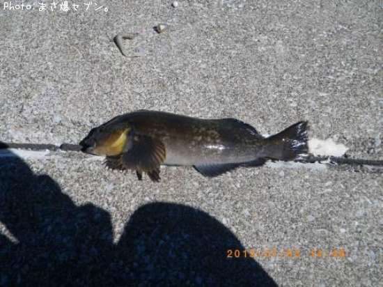 �����ʥ�