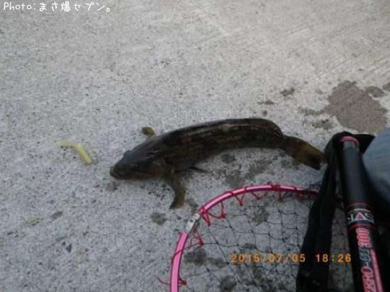 �����ʥ�