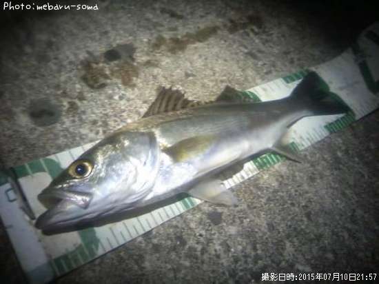 �����Х�