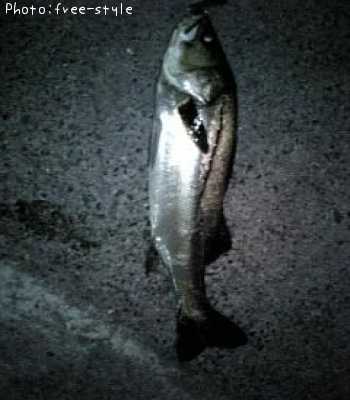 �ӣ��£���