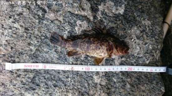 �����Υ���Х�