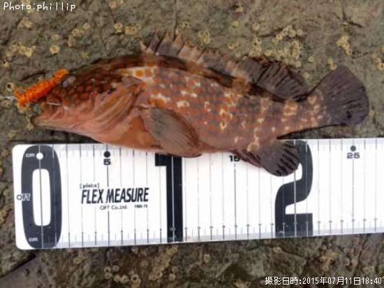 �����ϥ�