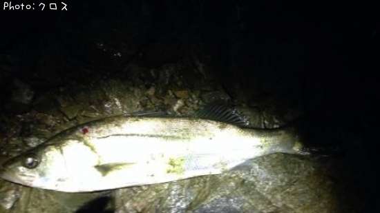 �����Х�