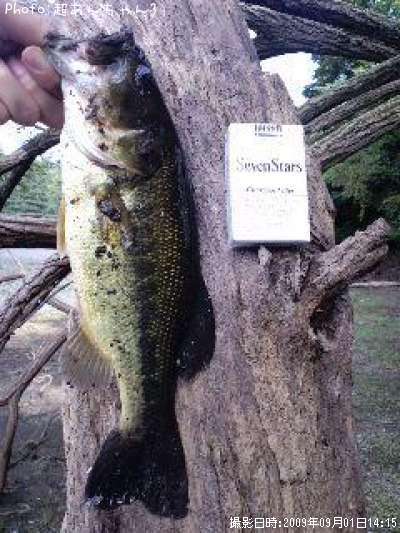 �֥�å��Х�