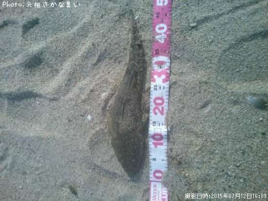 �ޥ���