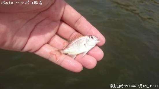 ����ꥳ��