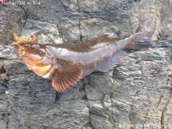 �����ʥ�