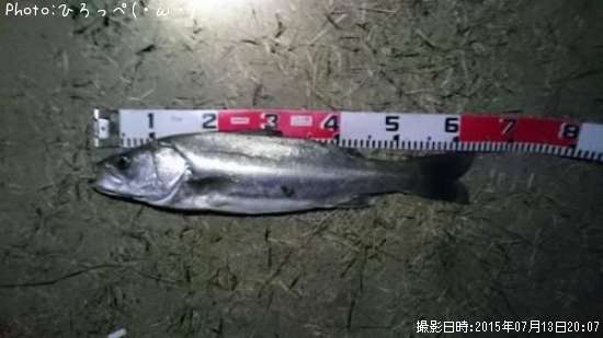 �����Х�