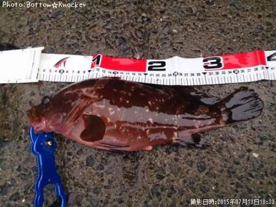 �����ϥ�