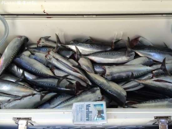 ���������ĥ�