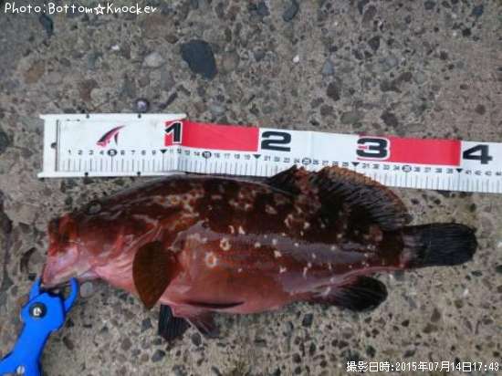 �����ϥ�