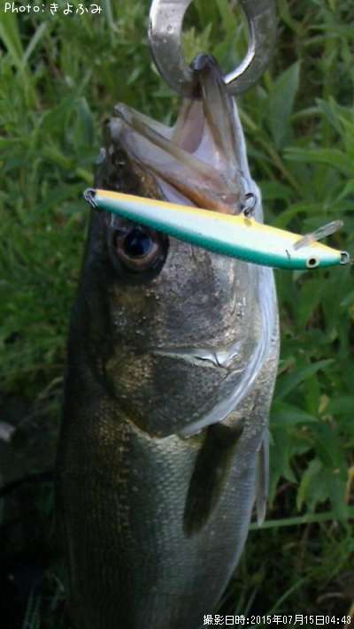 �����Х�