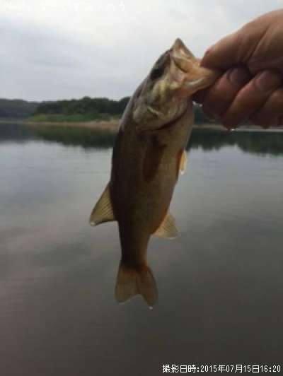 �֥�å��Х�