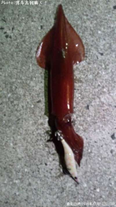 ���󥵥�����