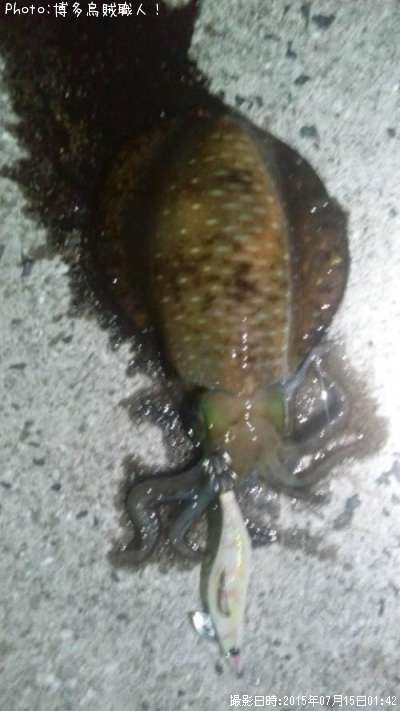 �����ꥤ��