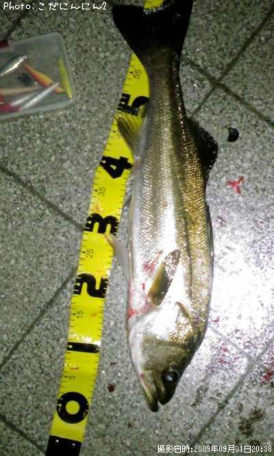 �����Х�