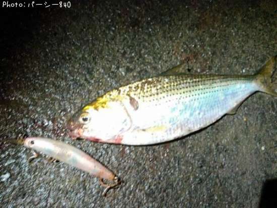 ���Υ���