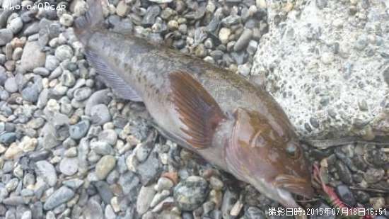 �����ʥ�