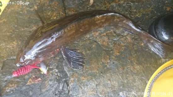 �����ʥ�