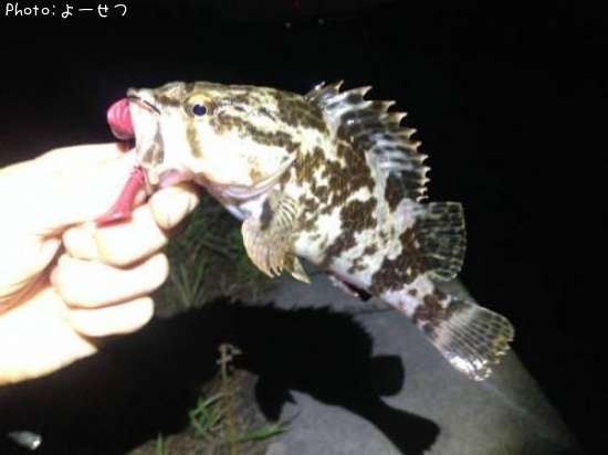 �����Υ���Х�