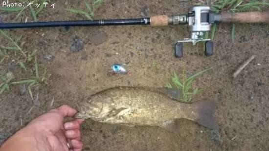 �֥�å��Х�