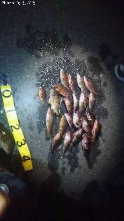 �������������ϥ����������Х�