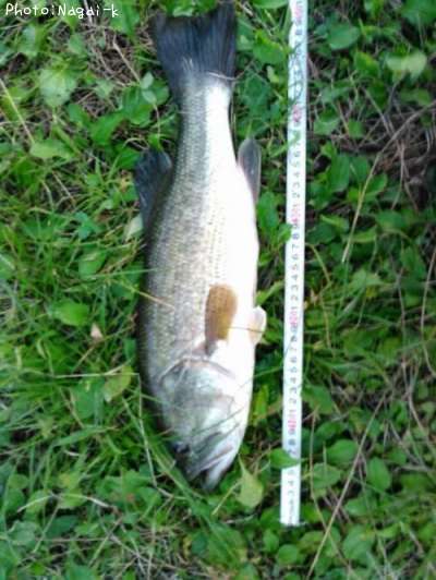 �֥�å��Х�