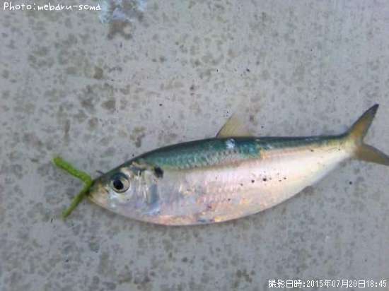 ���Υ���