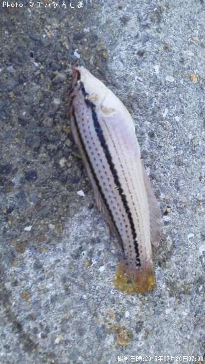 ���奦����