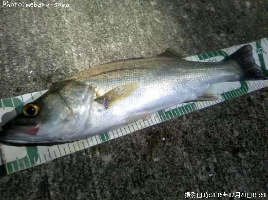 �����Х�