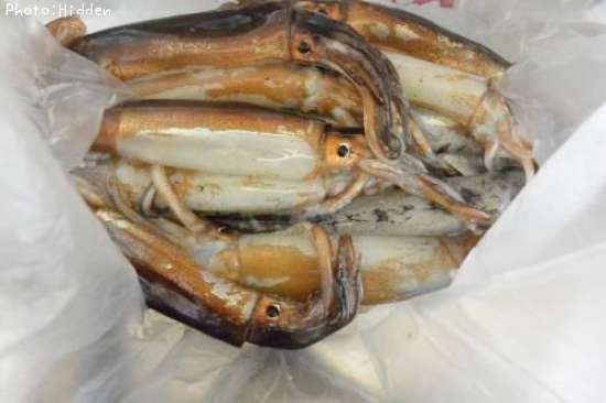 �����ʼ����ʬ����ʤ���