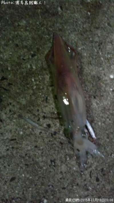 ���󥵥�����